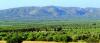 bloques/fotos/gal/Crete/_thb_UoC_Asterusia__2_.jpg